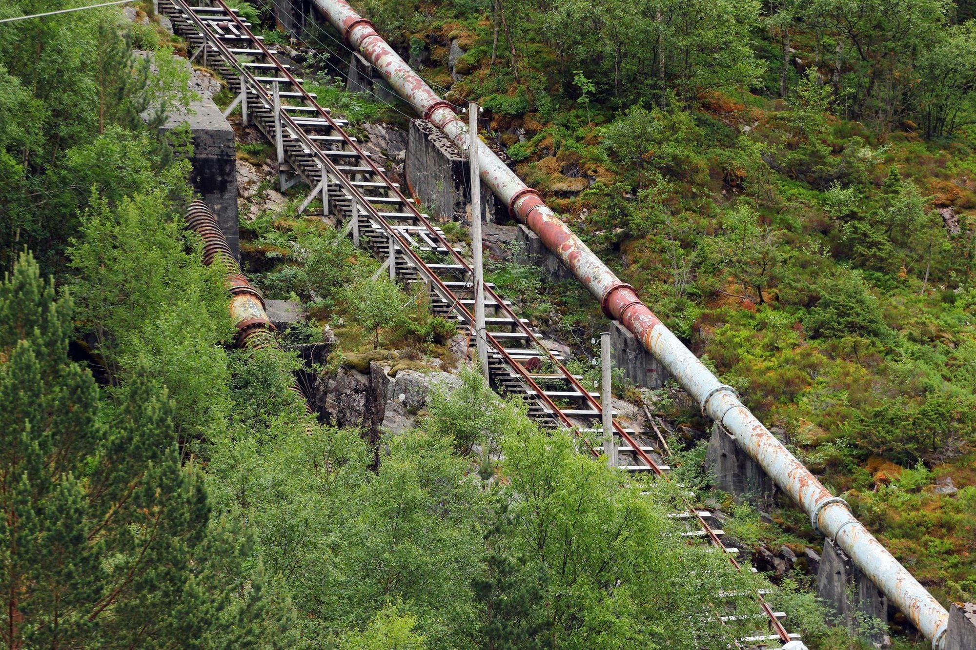The steps above Flørli, the longest wooden staircase in the world. Photo: Host