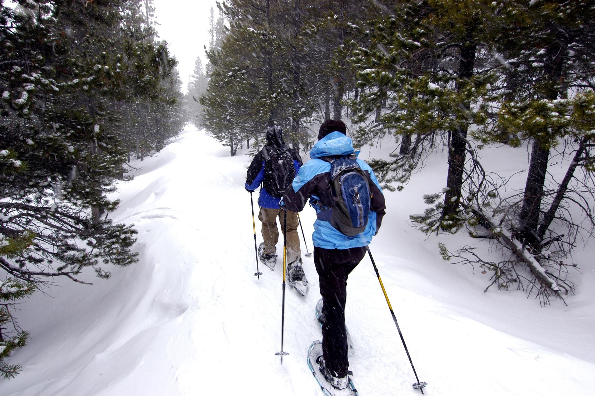 Setting out on a snowshoeing trek in the forests. Photo: Getty