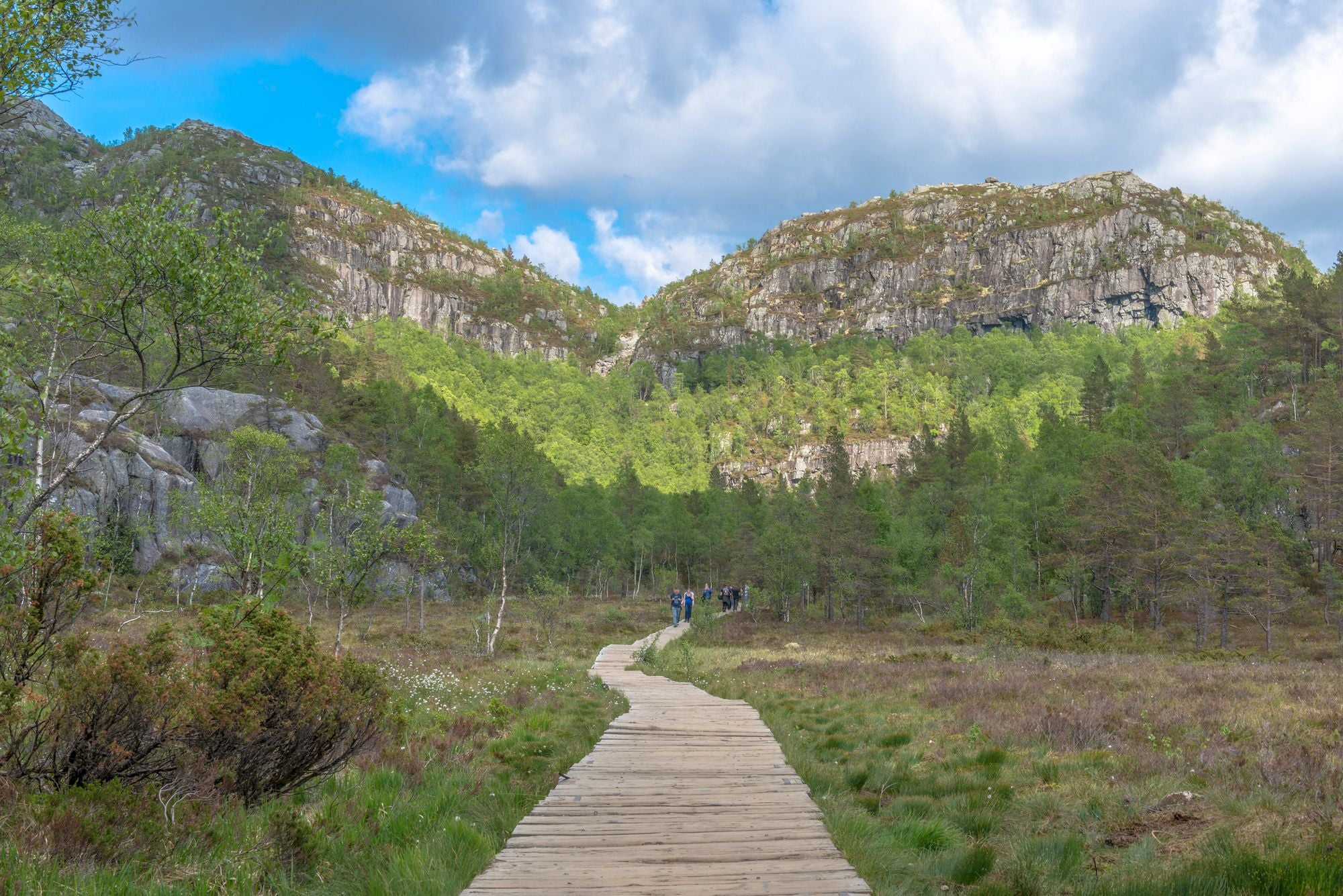 A boardwalk into the forest, on the way to Pulpit Rock. Photo: Getty