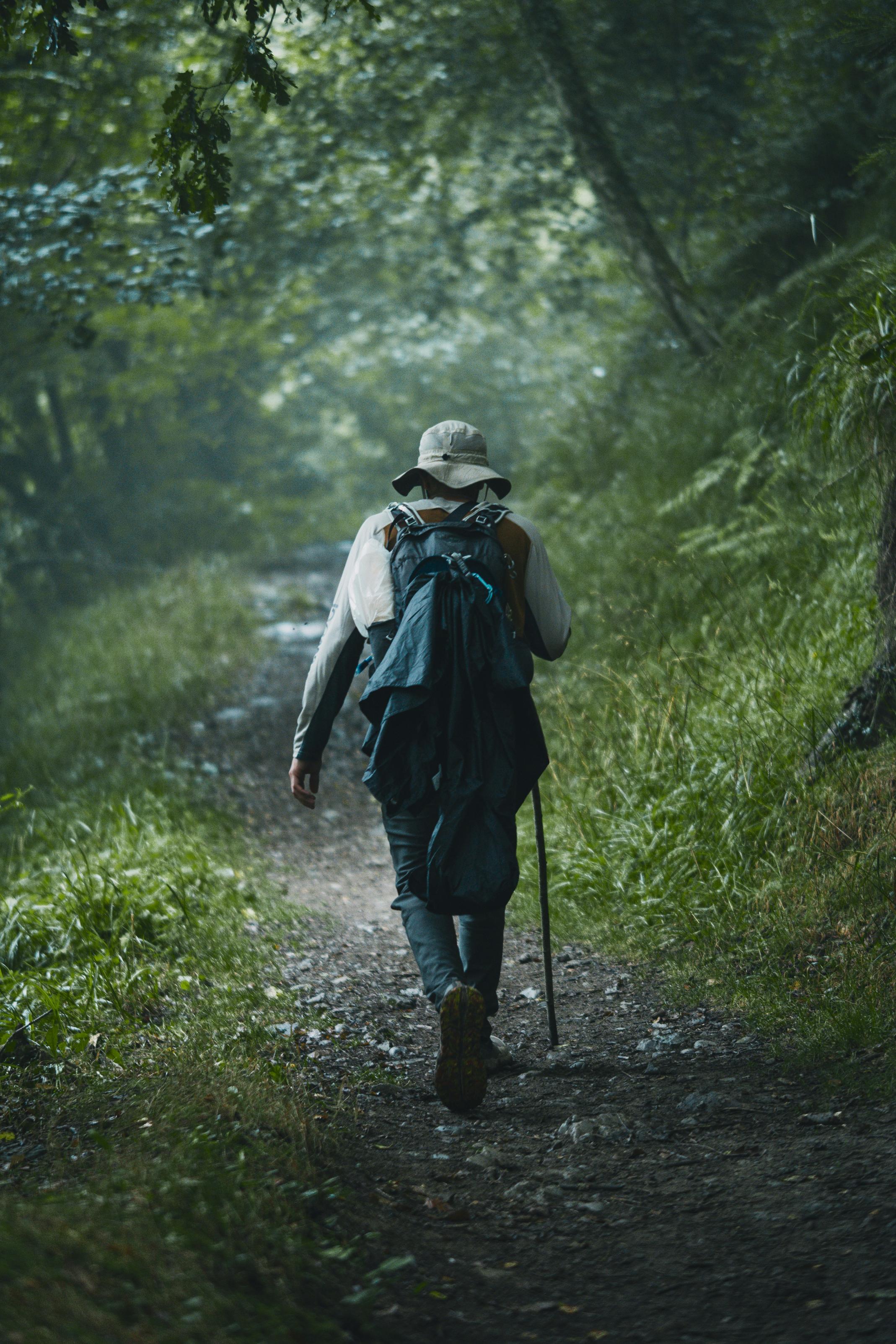 Walking through the greenery and forests of the Camino de Santiago. Photo: Sergio Kian/Unsplash.