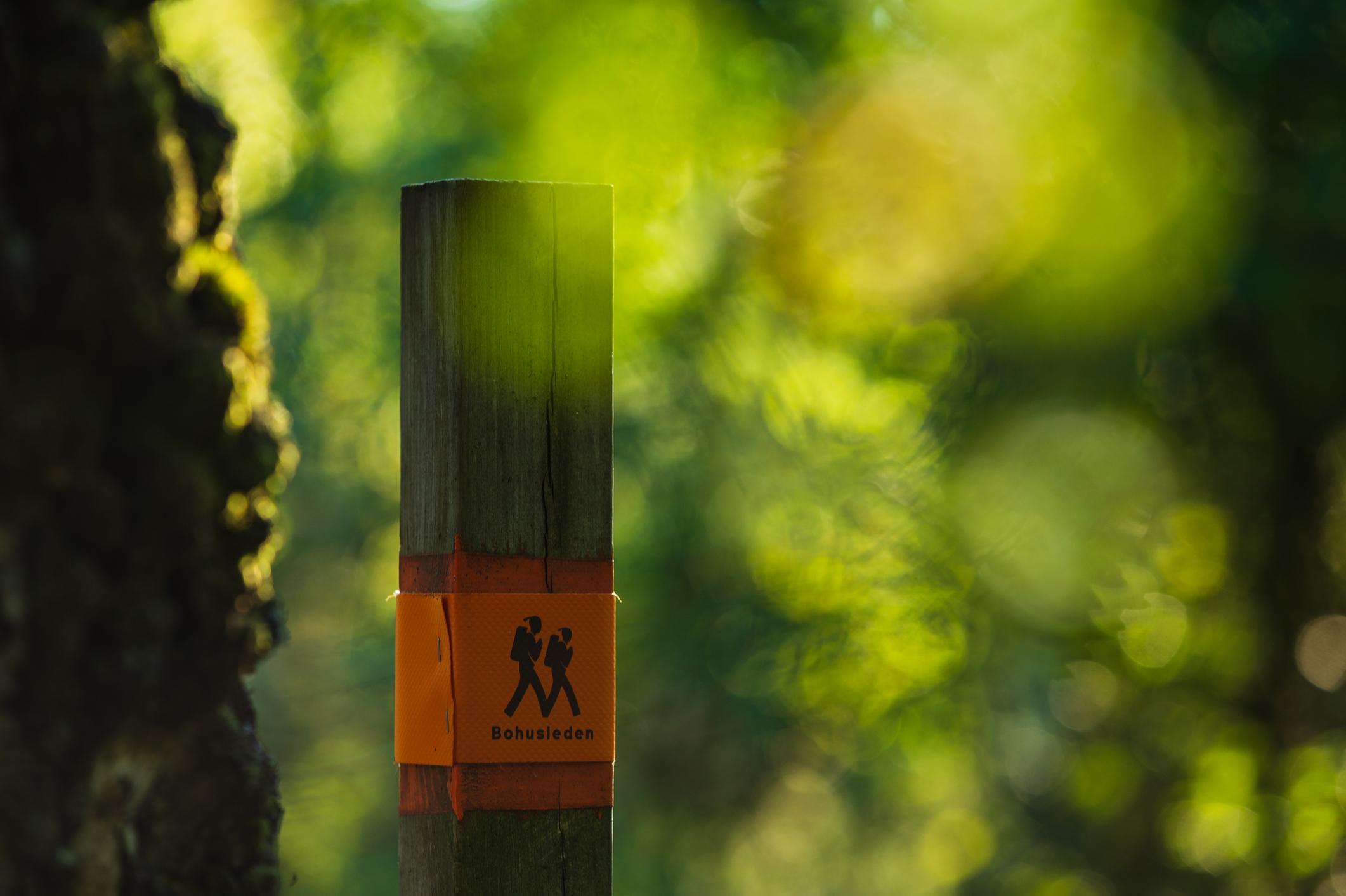 A trail marker for the Bohusleden Trail in Sweden. Photo: Getty