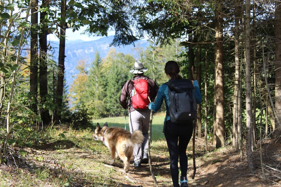 Walking through the forests of Slovenia, on the Juliana Trail with a guide and his mountain rescue dog. Photo: Stuart Kenny