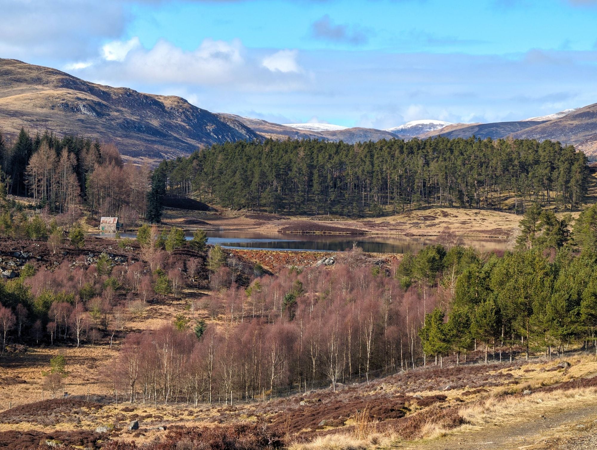 Auchintaple Loch is one of the finest viewpoints on the Cateran Trail, and a fine spot for lunch. Photo: Stuart Kenny