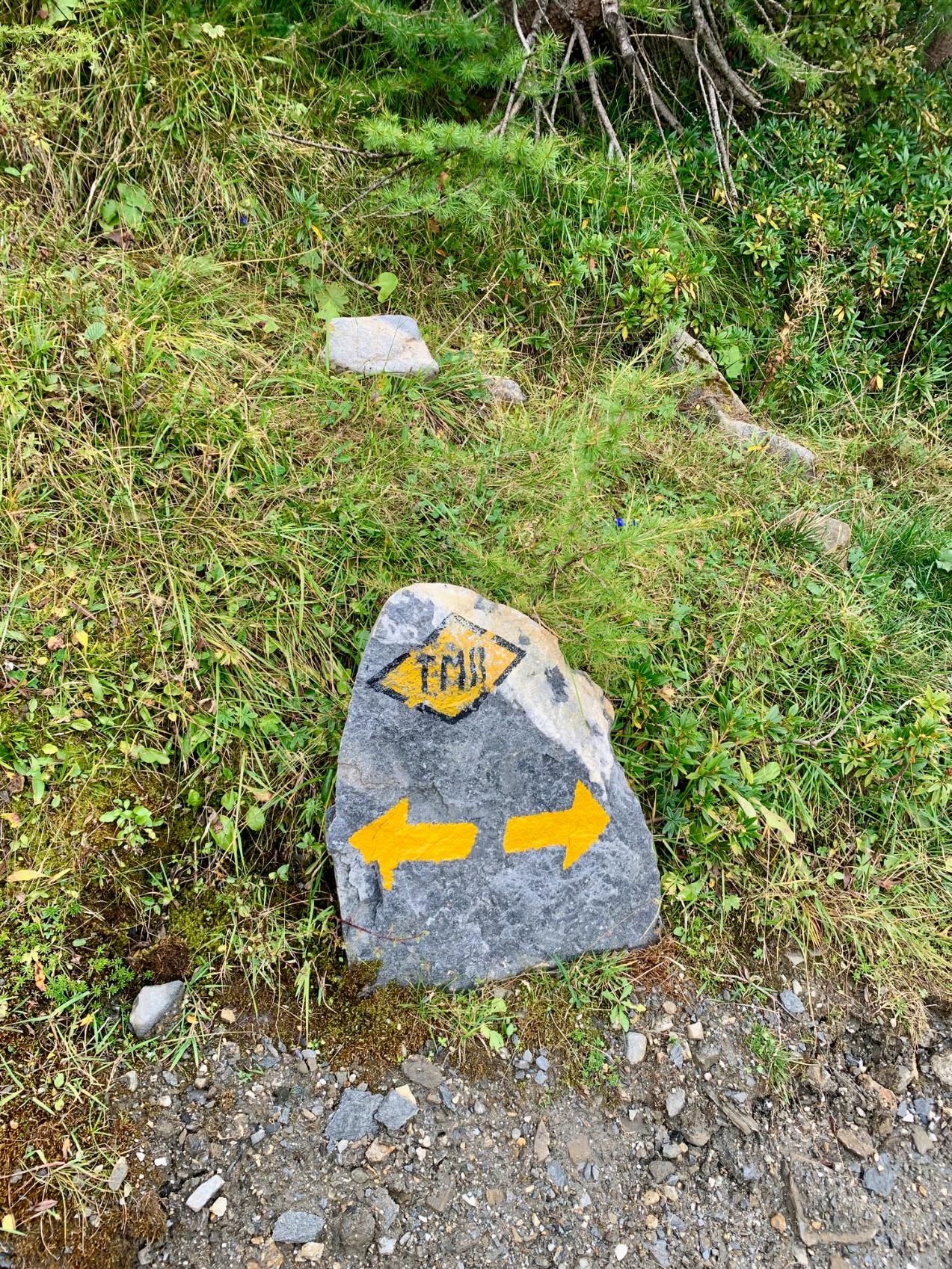 A Tour du Mont Blanc waymarker, pointing hikers in both directions. Photo: Getty