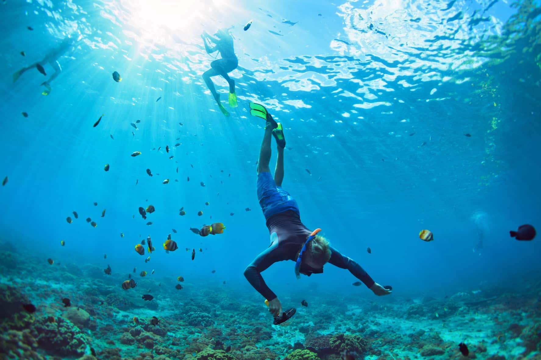 Surrounded by colourful fish and colours in the waters surrounding Bali. Photo: Shutterstock