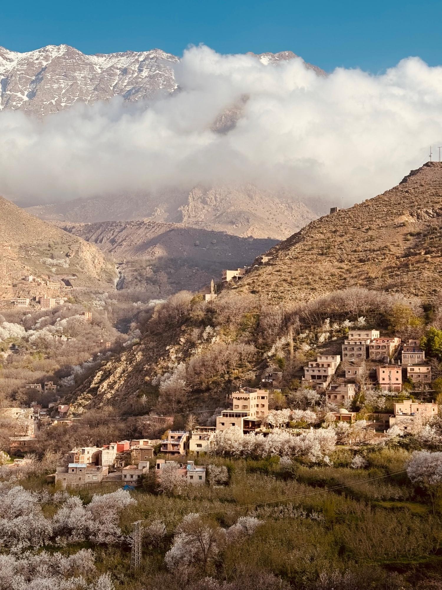 The Atlas Mountains rise high above the valley houses. Photo: Getty