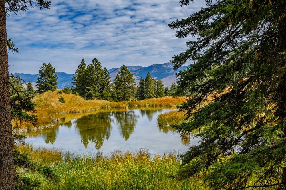 10 of the Best Day Hikes in Yellowstone