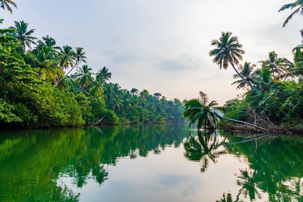 an-environmentally-friendly-guide-to-kerala-s-backwaters