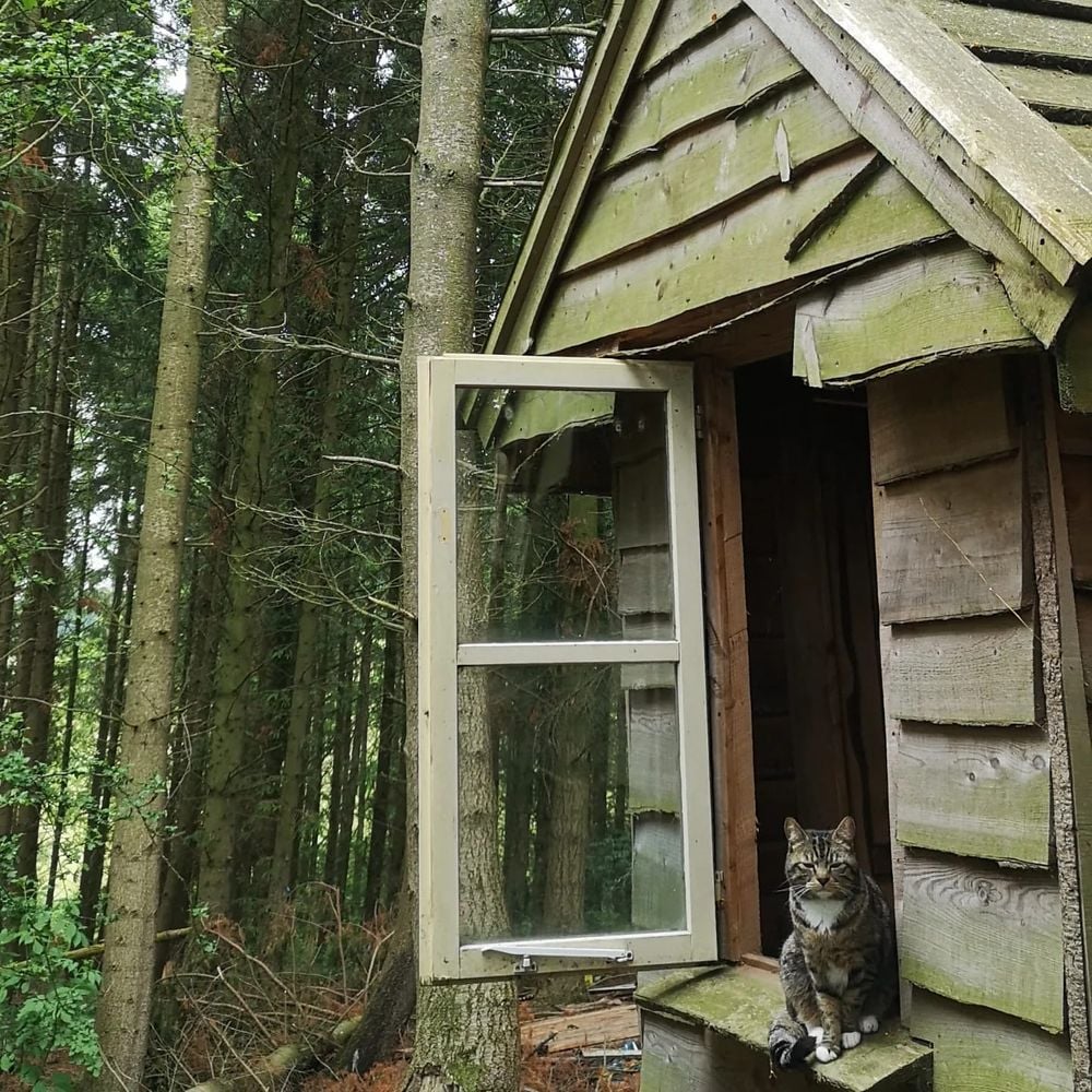 How Can I Manage Without My Creature Comforts on an Adventure?