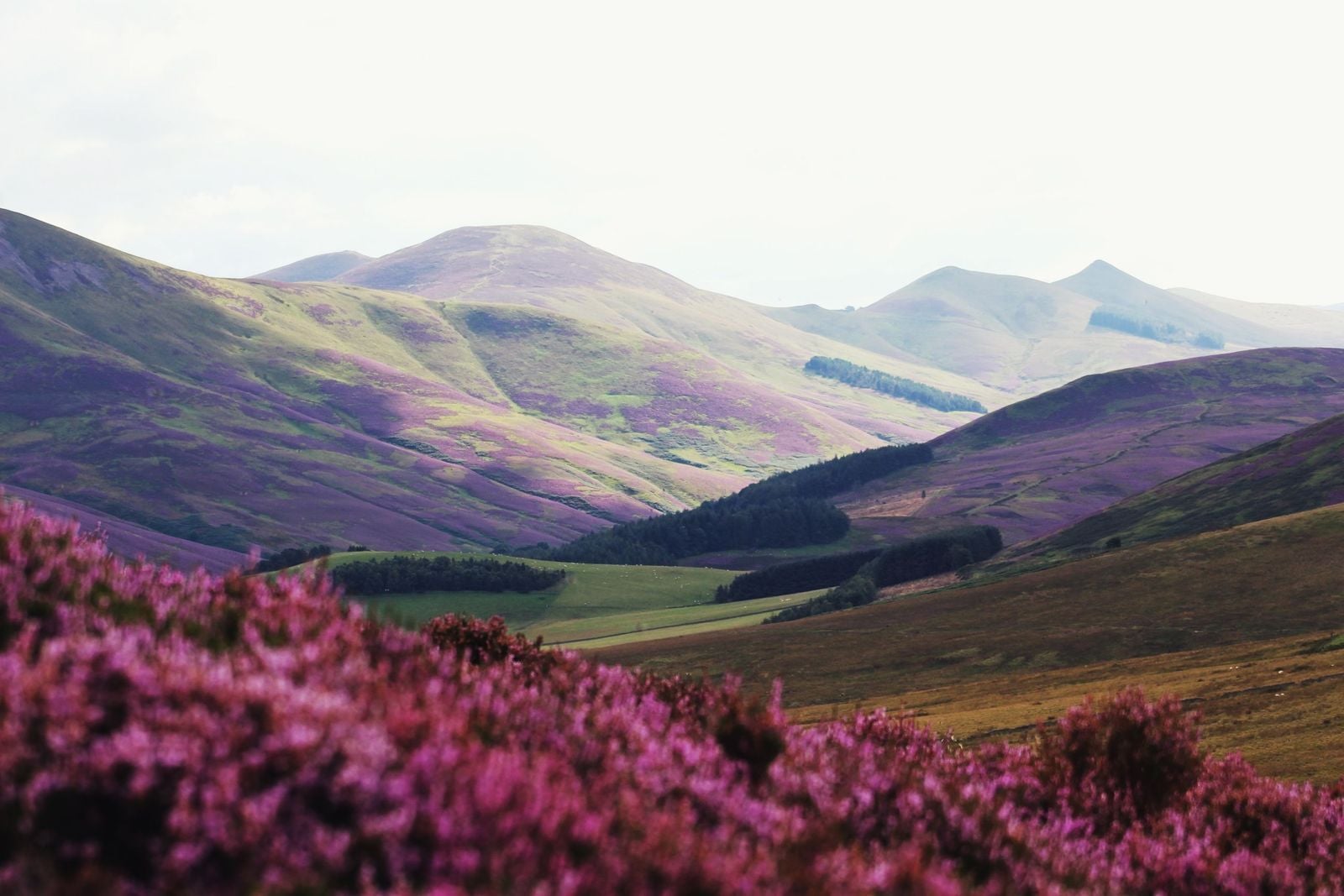 Hikes in Edinburgh 5 of the Best Treks in the Scottish Capital