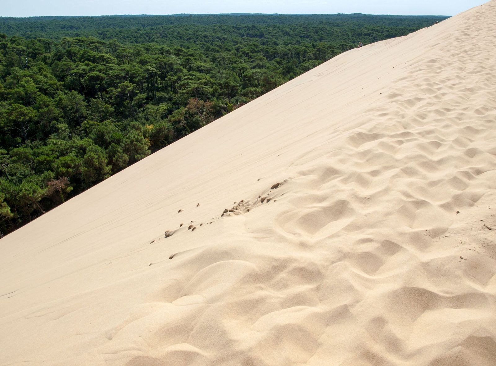What is the Tallest Sand Dune in the World? The Top 10