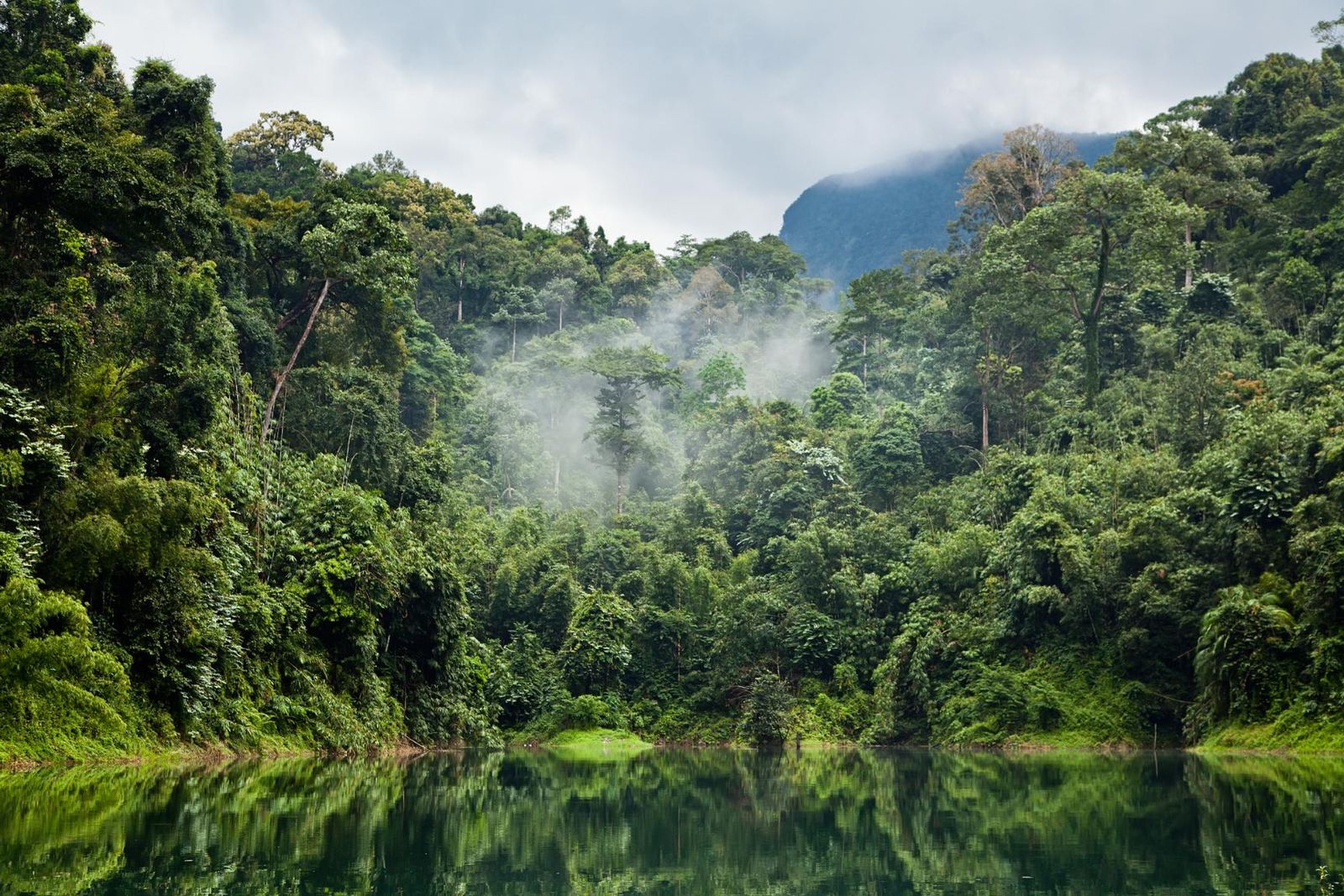 a-guide-to-khao-sok-national-park-in-thailand