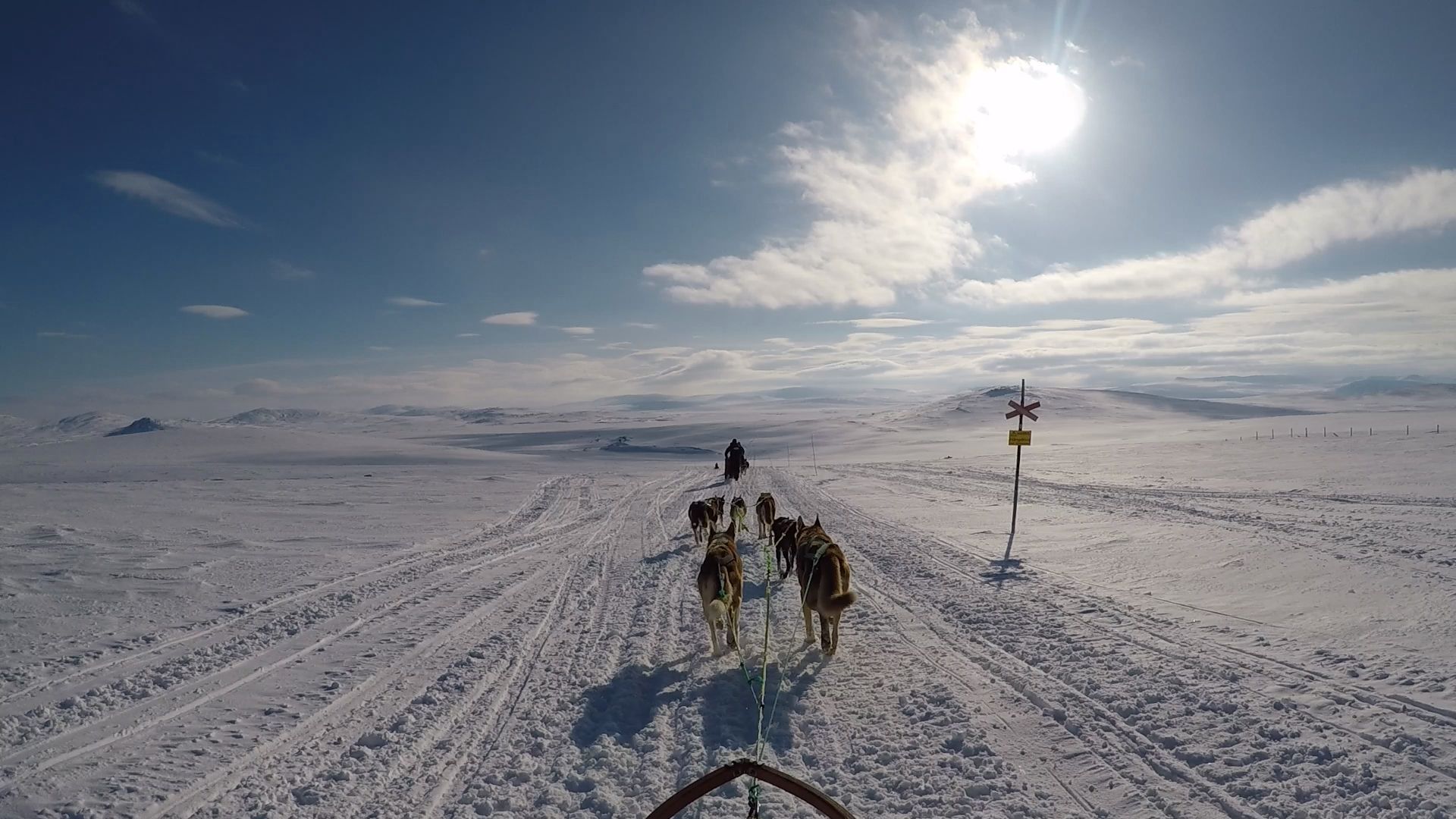 Lessons from the Arctic | Dog Sledding in Norway