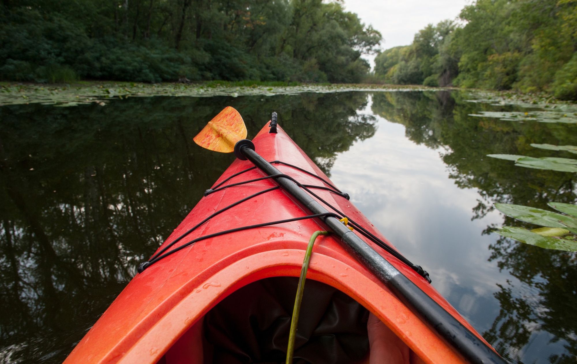 Kayaking London: How and Where to do it