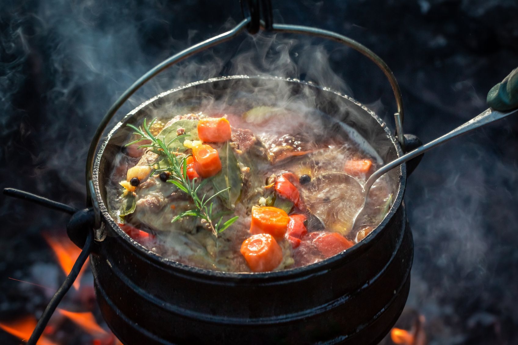 Bushcraft in a Beautiful forest! Cooking meat with potatoes under