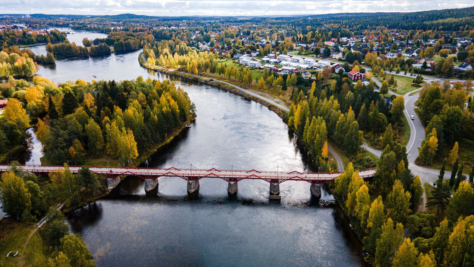 Shine On: River Restoration, Sweden's Wooden City and the Return of the Vulture