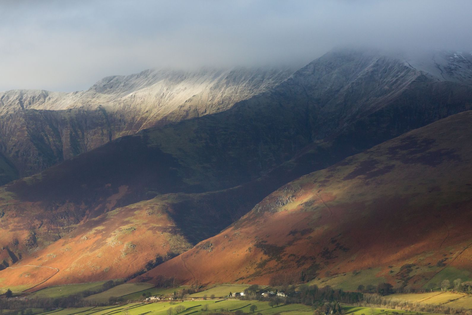 Shine On: The Fight to Roam and a New Nature Reserve for Greater Manchester