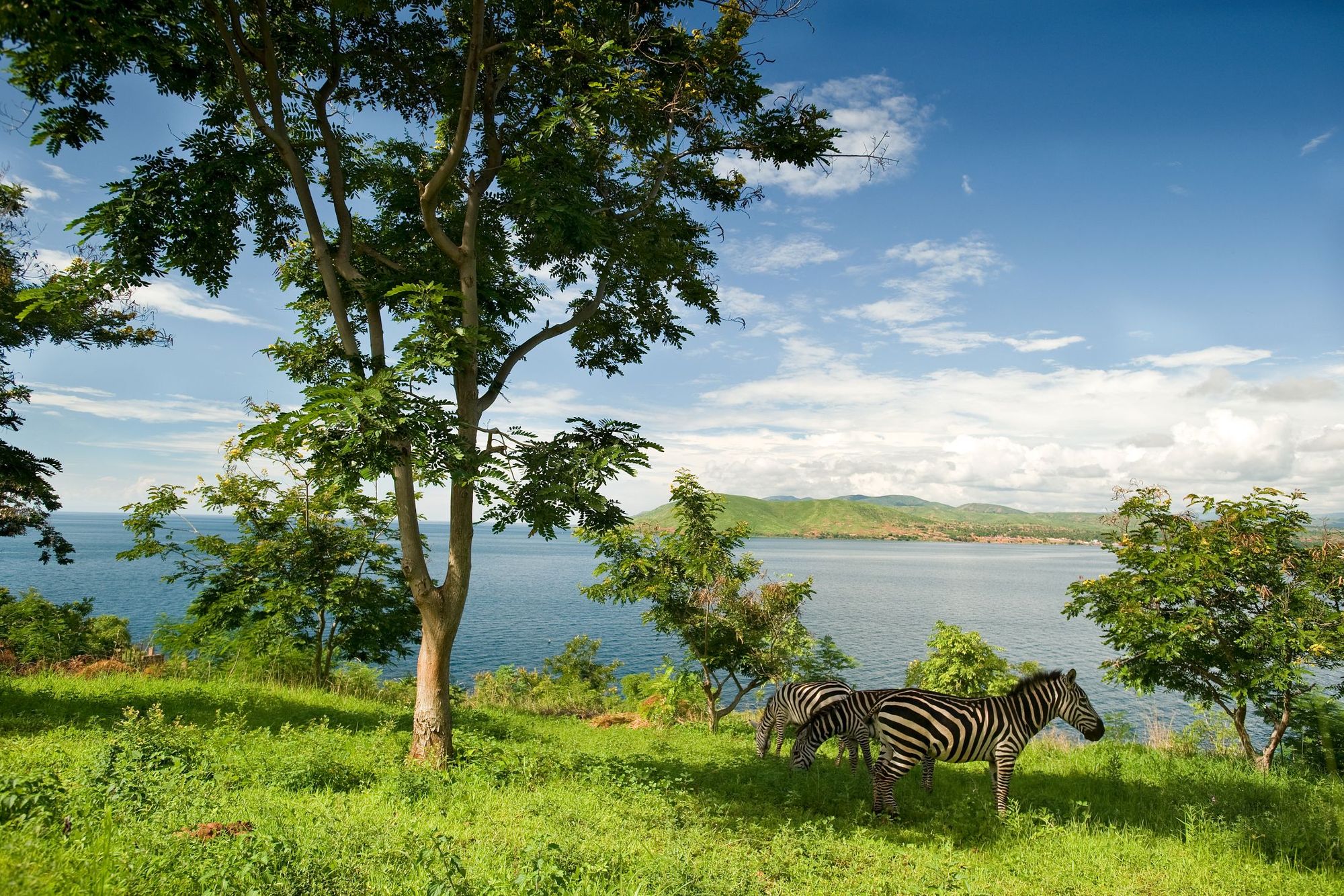 A Guide to Lake Tanganyika, One of Africa’s Great Lakes