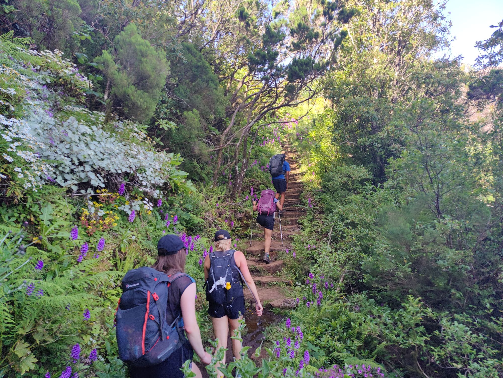 Traversing the Wild Atlantic Island of Madeira