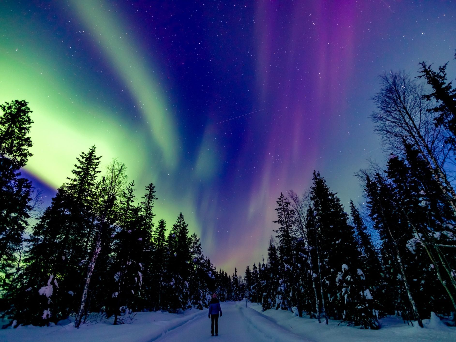 15 of the Best Winter Snow Adventures