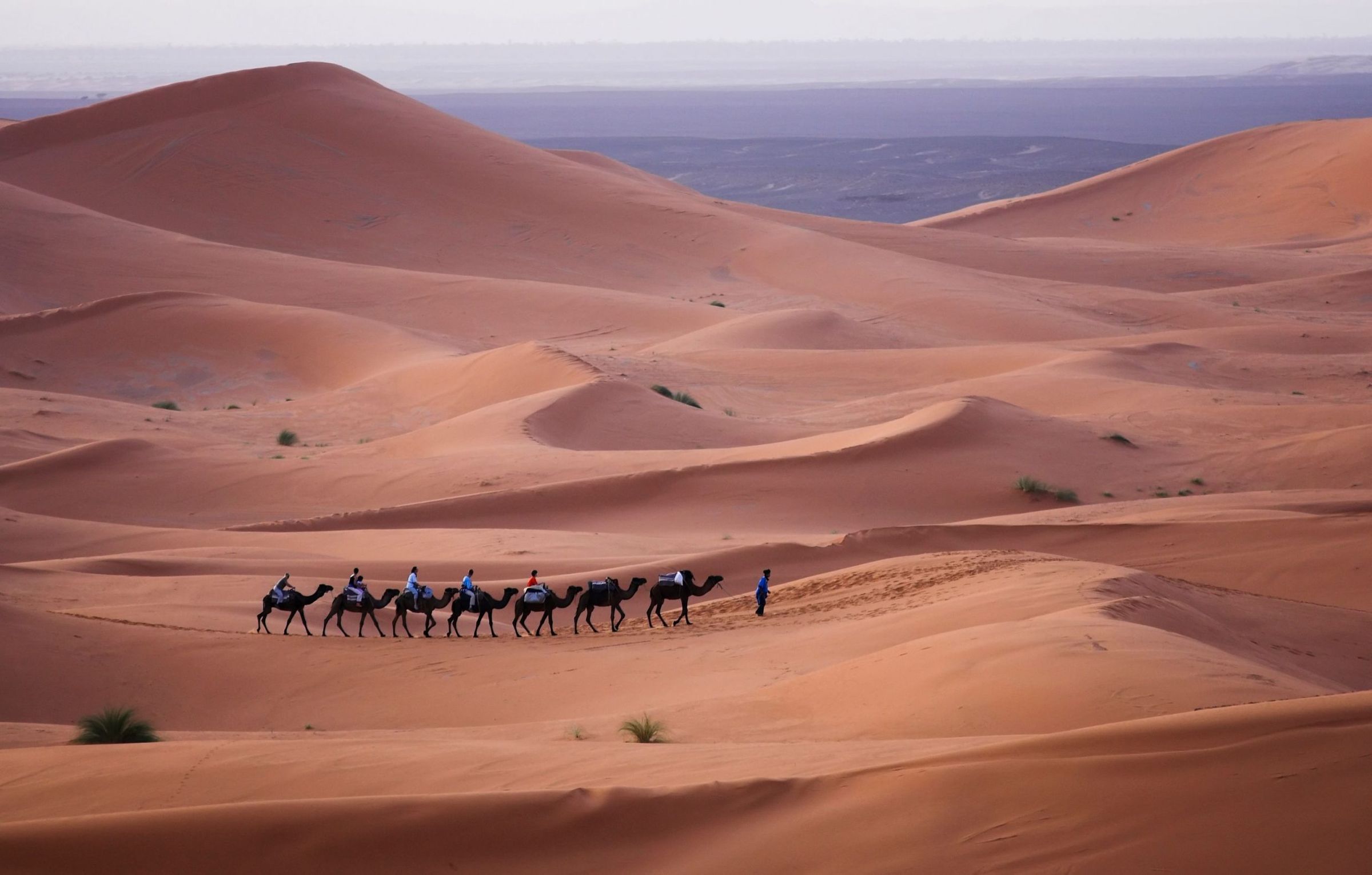 What is the Tallest Sand Dune in the World? The Top 10