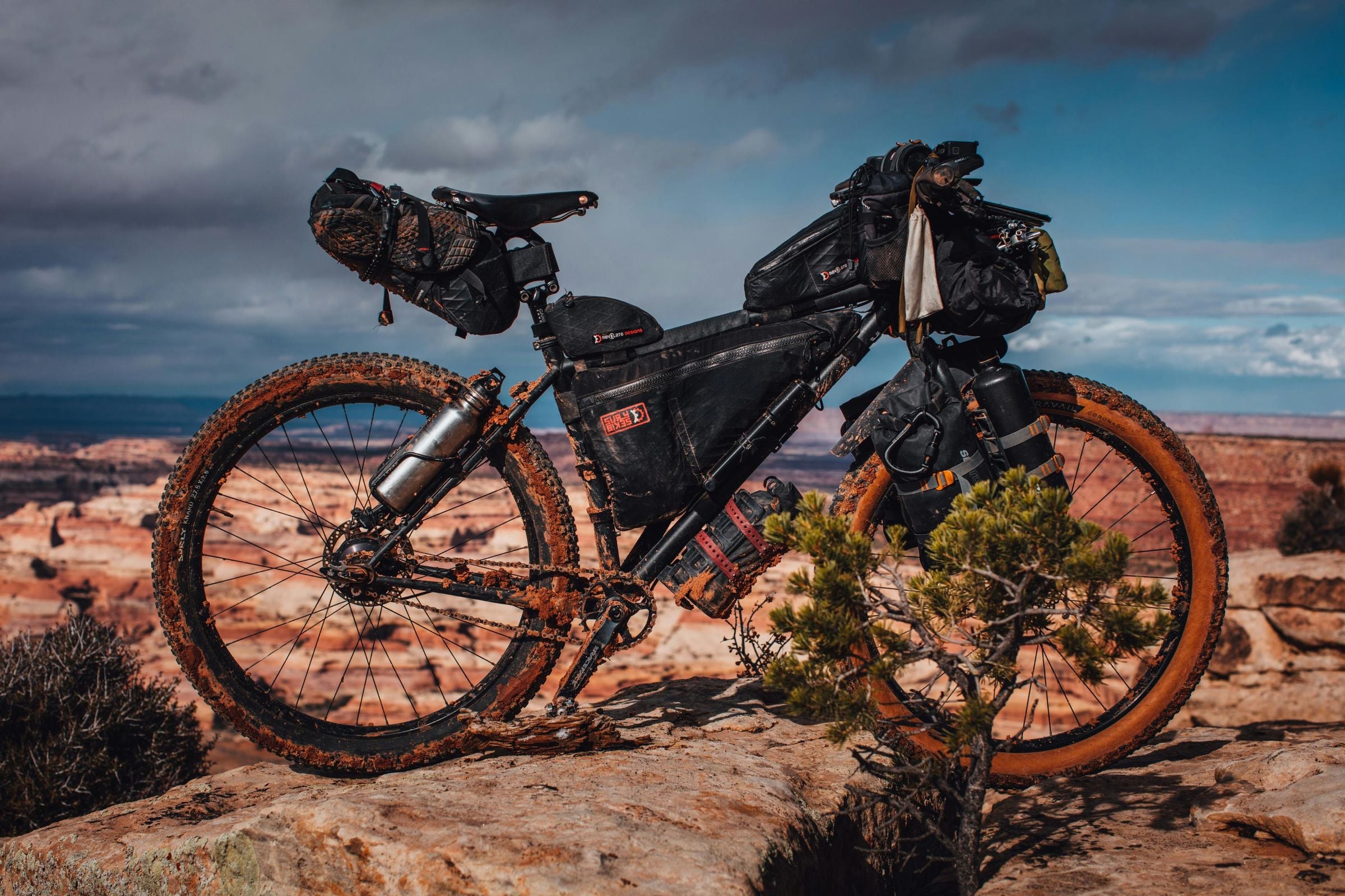 Cycling Disciplines: 8 Types of Bike Riding Explained