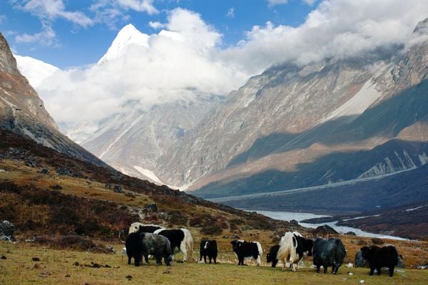 6 Treks Around the Langtang National Park in Nepal