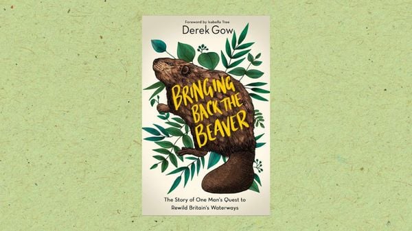 Book Club: Bringing Back The Beaver by Derek Gow