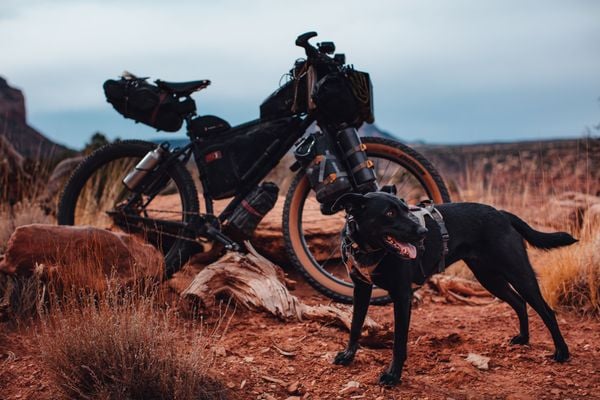 Bikepacking: A Beginner's Guide to the Essential Kit