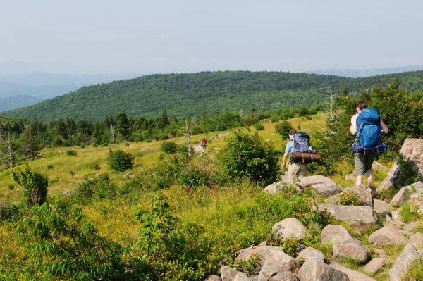  Le viste sul sentiero AT nel sud-ovest della Virginia. Gran parte del sentiero degli Appalachi è una fitta foresta. Foto: Getty