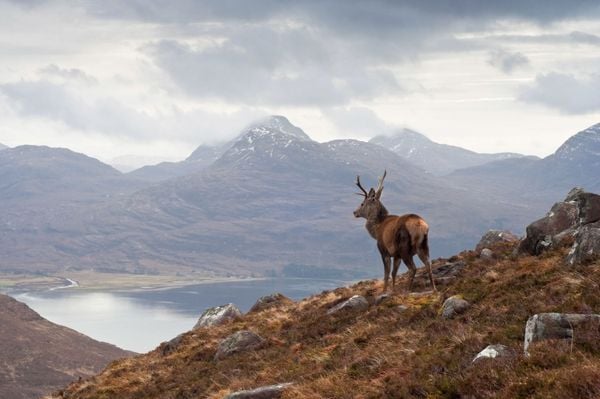 The Man Who Gave His Name to 282 Mountains in Scotland
