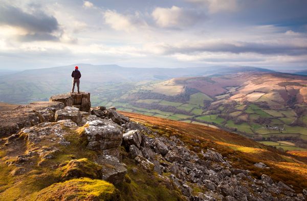 How to Navigate Using Clouds, Trees and Puddles