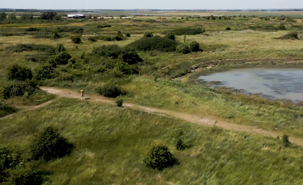 Shine On August: Dolphin Poo, Free Trains and An 85-Mile Hiking Trail in Essex