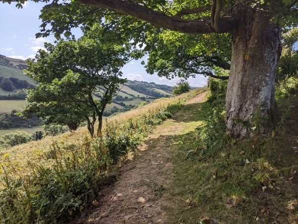 The Coleridge Way, Exmoor's Most Poetic Walking Trail