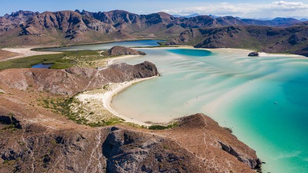 A Deep Dive into Mexico's Sea of Cortez, the World's Aquarium