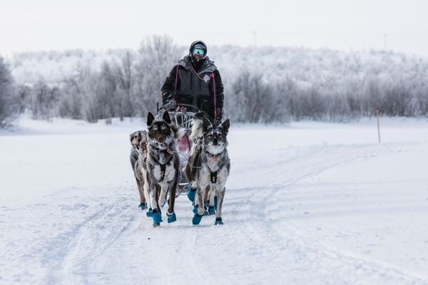An Inside Look at Europe's Toughest Dogsled Race