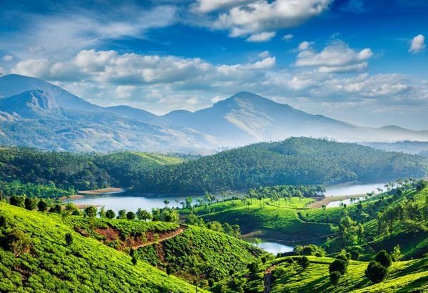 From Tea Growing to Eco Tourism in Munnar: An Ecological History
