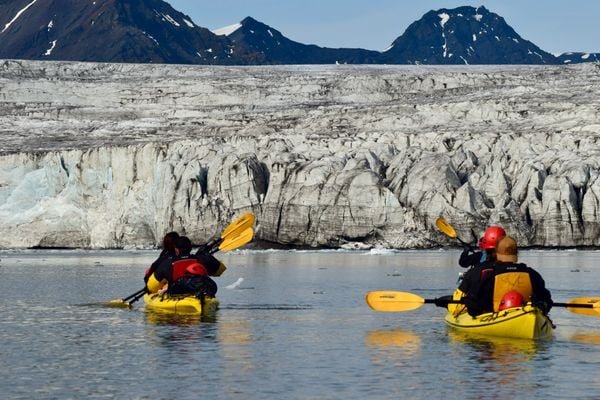 Summer in Svalbard: Exploring the Arctic Wilderness