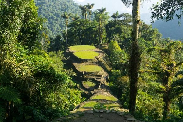 The 50km Trail to the Lost City, Hidden in a Colombian Jungle