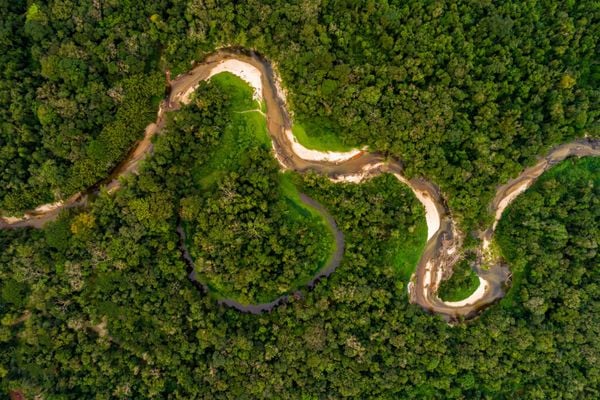 From the Andes to the Amazon: A Guide to Ecuador's National Parks