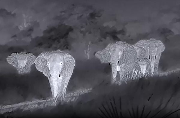 How Thermal Imaging Cameras are Revolutionising African Safari
