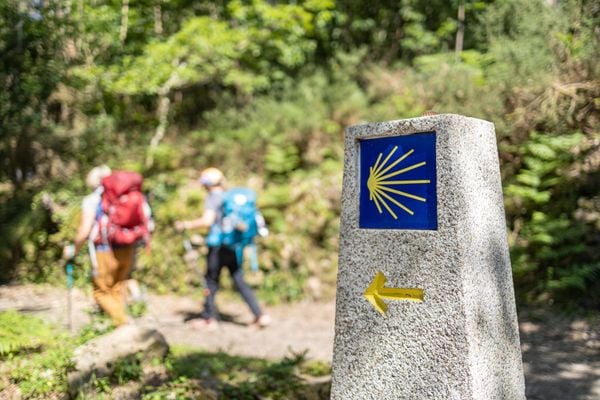 Walking the Final 100km of the Legendary Camino de Santiago